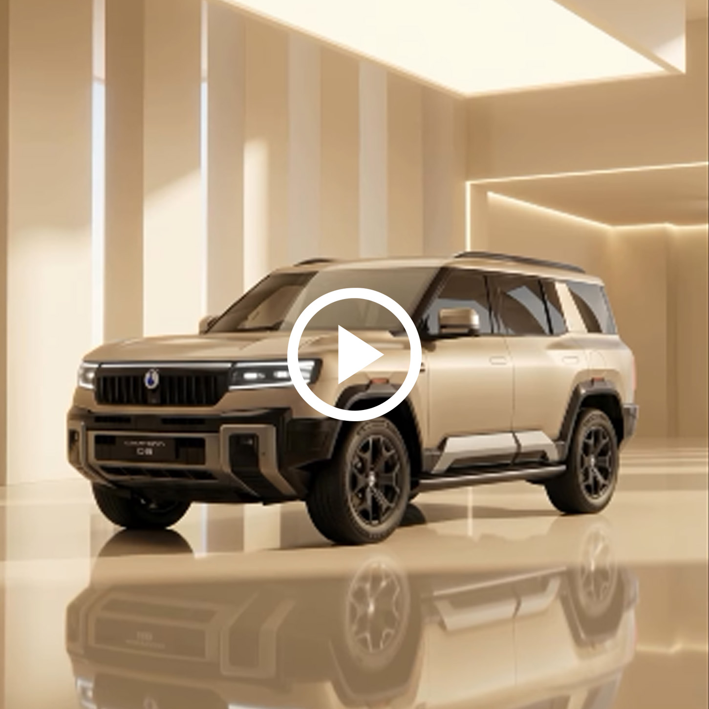 DENZA Oman — Showroom showcase